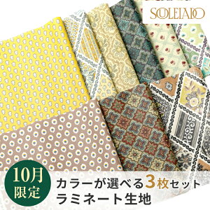 SOULEIADO \CA[h ~l[g n JbgNXZbg 1000~|bL  10ZNg nM ͂  | \[CO g JbgNX tX  \[CO n