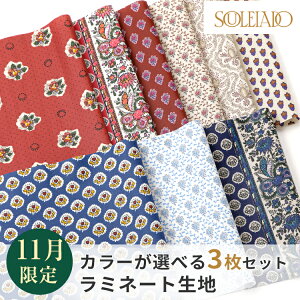 SOULEIADO \CA[h ~l[g n JbgNXZbg 1000~|bL  11ZNg nM ͂  | \[CO g JbgNX tX  \[CO n