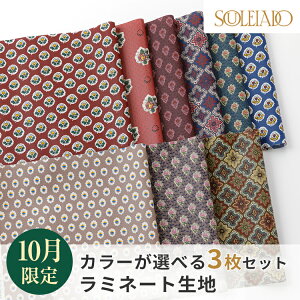 SOULEIADO ソレイアード ラミネート 生地 カットクロスセット 1000円ポッキリ 送料無料 ハギレ はぎれ 手