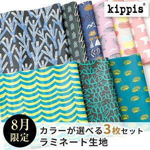 kippis LbsX ~l[gn JbgNXZbg | ~l[g n 1000~|bL ZNg kippis ICVbv nM ͂  | \[CO nhCh pb`[