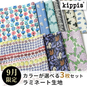 kippis LbsX ~l[gn JbgNXZbg | ~l[g n 1000~|bL ZNg kippis ICVbv nM ͂  | \[CO nhCh pb`[