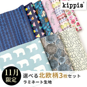 kippis LbsX ~l[gnZbg | ~l[g n 1000~|bL ZNg kippis ICVbv nM ͂  | \[CO nhCh pb`[N n k 