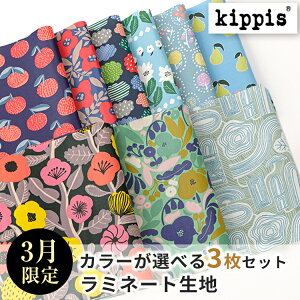 生地 布 ラミネート はぎれの人気商品・通販・価格比較 - 価格.com
