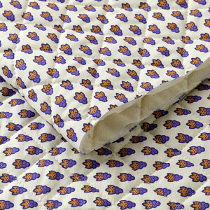 SOULEIADO LeBOnEveBbgE[V O[vx[W