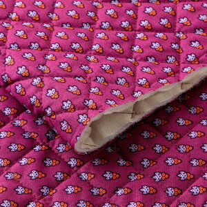 SOULEIADO LeBOnEveBbgE[V [Y