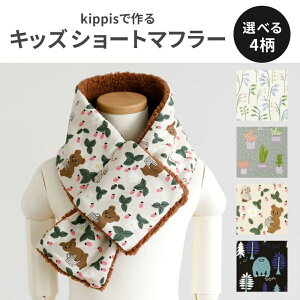 kippis LbYV[g}t[ޗZbg 4J[ | LbsX n z LbY }t[ V[g}t[ ~f ~ ޗZbg Lbg k k kfUC kfUC nh