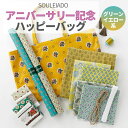 【数量限定】crafアニバーサリー記念 SOULEIADO ハッピーバッグ ラミネートバッグつき グリーンイエローセット 税込10…