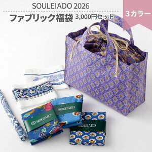 �y�労�ӍՊ��Ԓ��|�C���g10�{�z�y���ʌ���zSOULEIADO 2026 �V�t���� ���z�~�j�o�b�O�����n�Z�b�g �ō�3000�~ 3�J���[ | �\���C�A�[�h �v�����@���X �u���b�N�v�����g ���� �ޗ��Z�b�g �ޗ� �Z�b