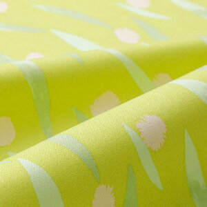 yCxgԒ|Cg10{zkippis@V[`On@Pompom /||@CG[ kippis 2025 SpringSummer