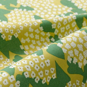 yCxgԒ|Cg10{zkippis@V[`On@Syreeni /CbN@CG[ kippis 2025 SpringSummer