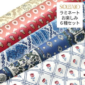2000円 ポッキリ 送料無料 SOULEIADO ソレイアード ラミネート 生地 6本セット | ハギレ はぎれ 手作り 手芸 ソーイング ハンドメイド テキスタイル おしゃれ 福袋 布 生地 男の子 女の子 花柄 ラミネート生地 ラミネートカットクロス