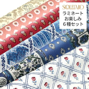 2000~ |bL  SOULEIADO \CA[h ~l[g n 6{Zbg | nM ͂  | \[CO nhCh eLX^C   z n j̎q ̎q ԕ 