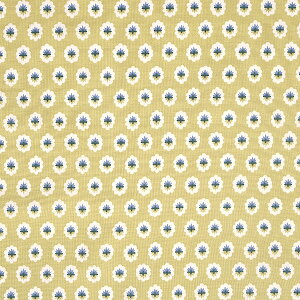 yCxgԒ|Cg10{zSOULEIADO \CA[h n V[`On Et[EhDE[Tk JiACG[  | \[CO nhCh zr[ v@X 