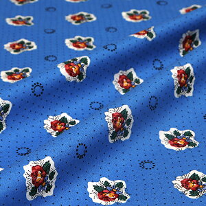 SOULEIADO \CA[h n V[`On Ev^@WFCu[  | \[CO nhCh zr[ v@X 앧 tX eLX^Cuh   