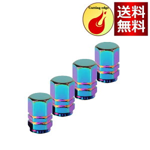 KRGNPLE CكJo[ ^CC ԃI[goC i y x A~ Hh~(Zp^JtȁA4ӓ)