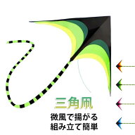 カイト 凧 三角凧 カラフルカイト たこあげ 初心者用 微風で揚がる 軽量 丈夫 凧揚げ 凧上げ タコ揚げ ス…