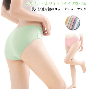 ~hEGXg gx Jt V[c 7Zbg  傫TCY Rbg ЊQ zCg fB[X  ЊQpi  p 7Zbg s o COs ĝ ^ n