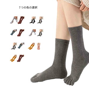 ܎w \bNX fB[X nC\bNX Rbg 2Zbg ܎w\bNX t H ~ 5{w \bNX ʋC ɂ  ₦΍ 킢 IV AQ\bNX  Vv