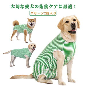  rߖh~ ^ p㕞 wXibv{^ jp D GUxXJ[   ی p 앞 ^ ё΍ SnQ Lk _炩  p㒅 