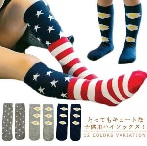 C \bNX nC\bNX O qp q LbY xr[ j̎q j ̎q  {[_[     0`6