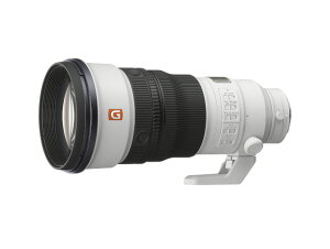 Pœ_Y(FE 300mm F2.8 GM OSS)@SEL300F28GM
