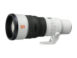 �P�œ_�����Y�iFE 600mm F6.3 GM OSS�jSEL600F63GM