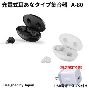 [2024Nf W] {W pW fW^W ȏW ȒP ȒP[d Type-C[d v[gɊ΂ p (⒮ł͂ȂWł) X DESIGN A-80 W