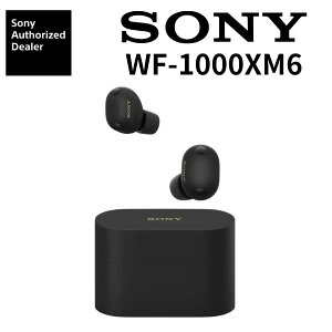 (�V�i���J��) SONY ���C�����X�C���z�� WF-1000XM6 �m�C�Y�L�����Z�����O 2026�N�ŐV���f�� WF-1000XM6 WF 1000 XM6 �\�j�[ �C���z�� �m�C�L���� ���S���C�����X