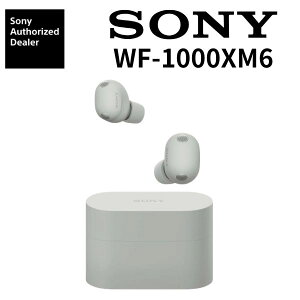 (�V�i���J��) SONY ���C�����X�C���z�� WF-1000XM6 �m�C�Y�L�����Z�����O 2026�N�ŐV���f�� WF-1000XM6 WF 1000 XM6 �\�j�[ �C���z�� �m�C�L���� ���S���C�����X