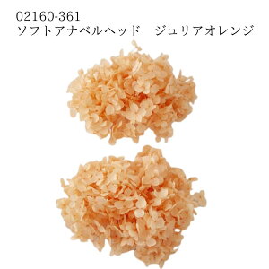 �����y02160-361 �\�t�g�A�i�x���w�b�h �W�����A�I�����W 4988489277778�z �I�����W �v���U�[�u�h�t�����[ �C���e���A �ԍ� �f�� ��n�_�� ���[ �t�����[�A�����W�����g �A�W�T�C