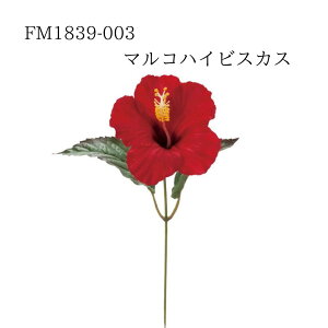 yVX[p[SALE 50%OFFyFM1839-003 }RnCrXJX bh 4967116192011z  nCrXJX  CeA tFCNt[ ԍ f A[eBtBVt[  [