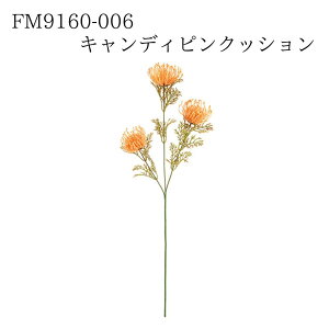 yVX[p[SALE 50%OFFyFM9160-006 LfBsNbV #6 PE/OR 4967116642806z  ފ݉  CeA tFCNt[ ԍ f A[eBtBVt[  [ s