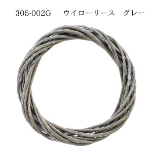 y305-002G EC[[X/20cm 4951169081958z CeA f [ i` Ԋ [X [Xy  Rf SG Wonder zone