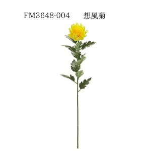 yFM3648-004 ze 4967116555236z  CG[ LN CeA tFCNt[ ԍ f A[eBtBVt[  [