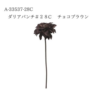 yVX[p[SALE 50%OFFAEgbgyA-33537-28C _Ao` #28C `RuE 4511255458202z  CeA tFCNt[ ԍ f A[eBtBVt[ AXJ [ _