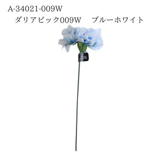 yA-34021-009W _AsbN 009 u[zCg 4511255489138z  _A CeA tFCNt[ ԍ f A[eBtBVt[ AXJ [