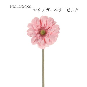 yVX[p[SALE 50%OFFyFM1354-2 }AK[x sN 4967116284471z  K[x sN CeA tFCNt[ ԍ f A[eBtBVt[  [