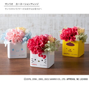 生花 カーネーション 母の日ギフトの人気商品 通販 価格比較 価格 Com
