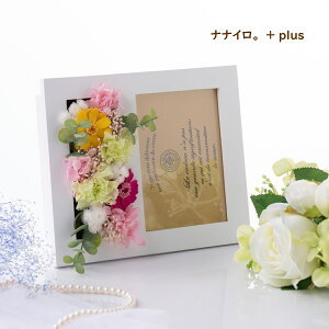 yiiCB+plusz v[g@Mtg vU[uht[ t[AWg  uC_  j EGfBO  ʐ^ tHg tHgt[