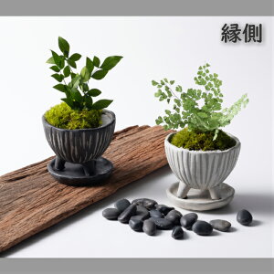 yzv[g Mtg   vU[uht[ aAW j җ j N ސEj ʉ a Ê  ~ hV̓v[g hV̓蕨@hV
