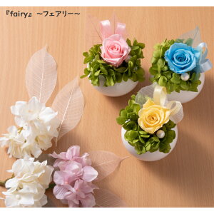 yfairy`tFA[`z v[g Mtg bZ[WJ[h bsOt[AWg v`Mtg   i a  Vz vU[uht[  lC