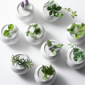 yIׂ􂫂|bg~j 3Zbgz v[g Mtg bZ[WJ[h bsOt[AWg v`Mtg  a j Vz JX ͂ȂA 