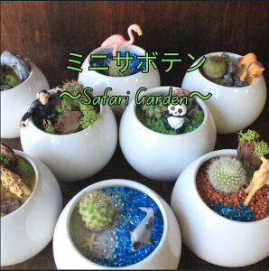 y~jT{eETt@K[fz v[g Mtg v`Mtg Mtg  T{e p_ L ]E qE  Aj} ~j`A T{e 񂹐A j a 