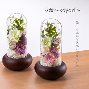 yVX[p[SALEyS`koyori`z v[g Mtg  䋟  h[  vU[uht[ Mtg   d   ފ @  l\