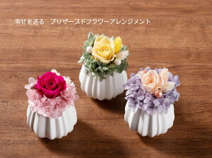 ブリザードフラワー プリザーブドフラワー 通販 価格比較 価格 Com