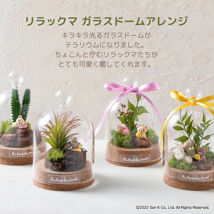 楽天市場 リラックマガラスドームアレンジ リラックマ コリラックマ キイロイトリ プレゼント ギフト メッセージカード ラッピング プリザーブド フラワー 送料無料 花 プリザ かわいい 花 フラワーアレンジ テラリウム ドライフラワー サウンドスパイス 楽天市場店