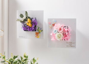 yVX[p[SALEybN}Ebht[AW 2 z v[g Mtg bZ[WJ[h bsO vU[uht[ t[AW  a