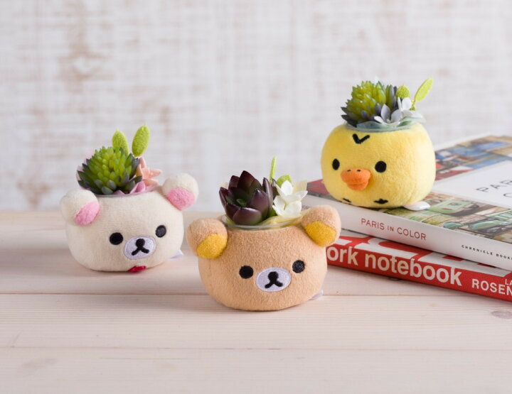 楽天市場 リラックマぬいぐるみpot６種 プレゼント ギフト プリザーブドフラワー 送料無料リラックマ コリラックマ キイロイトリ 誕生日 花 ギフト プリザーブドフラワー 多肉 ぬいぐるみ 花 サウンドスパイス 楽天市場店