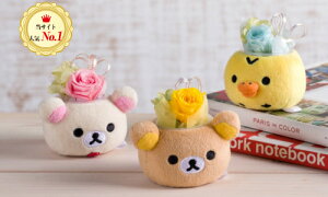 リラックマ 花の通販 価格比較 価格 Com