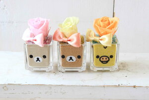 yJ[ThAWbN}vU[uht[z v[g Mtg bZ[WJ[h bsObN}  bN} RbN} LCCg a  v